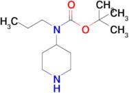 Tert-butyl n-(piperidin-4-yl)-N-propylcarbamate