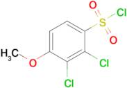 2,3-Dichloro-4-methoxybenzene-1-sulfonyl chloride