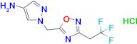 1-{[3-(2,2,2-trifluoroethyl)-1,2,4-oxadiazol-5-yl]methyl}-1h-pyrazol-4-amine hydrochloride
