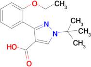 1-Tert-butyl-3-(2-ethoxyphenyl)-1h-pyrazole-4-carboxylic acid