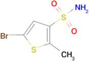 5-Bromo-2-methylthiophene-3-sulfonamide