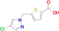 5-[(4-chloro-1h-pyrazol-1-yl)methyl]thiophene-2-carboxylic acid