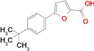 5-(4-Tert-butylphenyl)furan-2-carboxylic acid