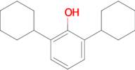 2,6-Dicyclohexylphenol