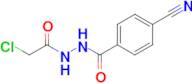 n'-(2-Chloroacetyl)-4-cyanobenzohydrazide