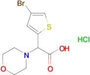 2-(4-Bromothiophen-2-yl)-2-(morpholin-4-yl)acetic acid hydrochloride