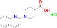 1-(Quinolin-2-yl)piperidine-4-carboxylic acid hydrochloride