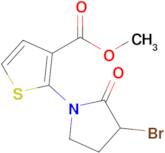 Methyl 2-(3-bromo-2-oxopyrrolidin-1-yl)thiophene-3-carboxylate