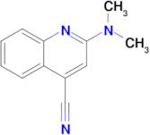 2-(Dimethylamino)quinoline-4-carbonitrile