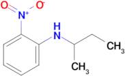 n-(Sec-butyl)-2-nitroaniline