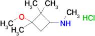 3-Methoxy-n,2,2,3-tetramethylcyclobutan-1-amine hydrochloride