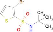 3-Bromo-N-tert-butylthiophene-2-sulfonamide