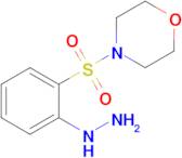 4-(2-Hydrazinylbenzenesulfonyl)morpholine