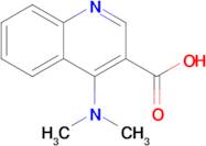 4-(Dimethylamino)quinoline-3-carboxylic acid