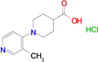 1-(3-Methylpyridin-4-yl)piperidine-4-carboxylic acid hydrochloride