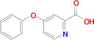 4-Phenoxypyridine-2-carboxylic acid