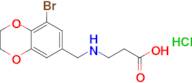 3-{[(8-bromo-2,3-dihydro-1,4-benzodioxin-6-yl)methyl]amino}propanoic acid hydrochloride