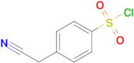 4-(Cyanomethyl)benzene-1-sulfonyl chloride