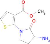 Methyl 2-(3-amino-2-oxopyrrolidin-1-yl)thiophene-3-carboxylate