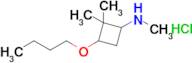 3-Butoxy-n,2,2-trimethylcyclobutan-1-amine hydrochloride