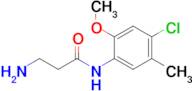 3-Amino-N-(4-chloro-2-methoxy-5-methylphenyl)propanamide