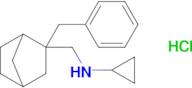 n-({2-benzylbicyclo[2.2.1]heptan-2-yl}methyl)cyclopropanamine hydrochloride