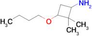 3-Butoxy-2,2-dimethylcyclobutan-1-amine