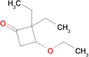 3-Ethoxy-2,2-diethylcyclobutan-1-one