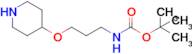 Tert-butyl n-[3-(piperidin-4-yloxy)propyl]carbamate