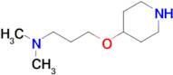 n,n-Dimethyl-3-(piperidin-4-yloxy)propan-1-amine