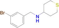 n-(3-Bromobenzyl)tetrahydro-2h-thiopyran-4-amine