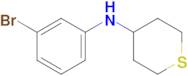 n-(3-Bromophenyl)tetrahydro-2h-thiopyran-4-amine