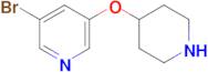 3-Bromo-5-(piperidin-4-yloxy)pyridine