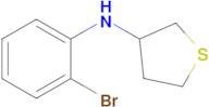 n-(2-Bromophenyl)tetrahydrothiophen-3-amine