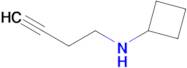 n-(But-3-yn-1-yl)cyclobutanamine