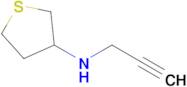 n-(Prop-2-yn-1-yl)tetrahydrothiophen-3-amine
