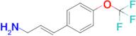 (E)-3-(4-(Trifluoromethoxy)phenyl)prop-2-en-1-amine