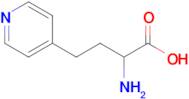 2-Amino-4-(pyridin-4-yl)butanoic acid