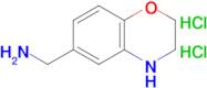 (3,4-Dihydro-2h-benzo[b][1,4]oxazin-6-yl)methanamine dihydrochloride