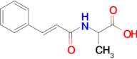 2-Cinnamamidopropanoic acid