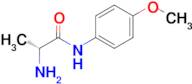 (R)-2-Amino-N-(4-methoxyphenyl)propanamide