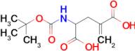 2-((Tert-butoxycarbonyl)amino)-4-methylenepentanedioic acid