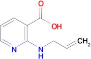 2-(Allylamino)nicotinic acid