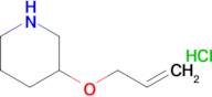 3-(Allyloxy)piperidine hydrochloride