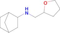 n-((Tetrahydrofuran-2-yl)methyl)bicyclo[2.2.1]heptan-2-amine