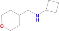 n-((Tetrahydro-2h-pyran-4-yl)methyl)cyclobutanamine