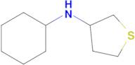 n-Cyclohexyltetrahydrothiophen-3-amine