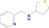 n-(Pyridin-2-ylmethyl)tetrahydrothiophen-3-amine