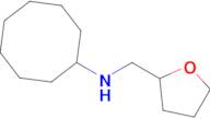 n-((Tetrahydrofuran-2-yl)methyl)cyclooctanamine