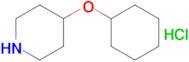 4-(Cyclohexyloxy)piperidine hydrochloride